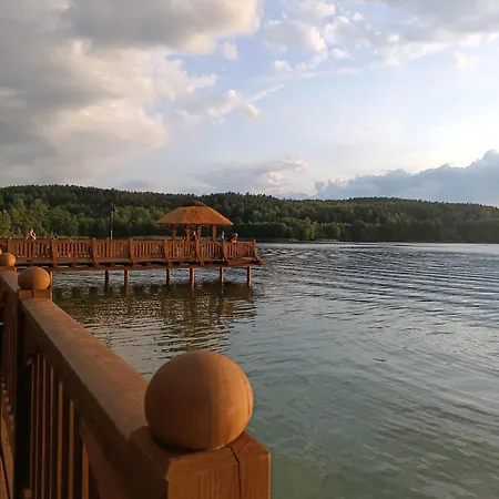 Sosnowa Dolina We Wielu *