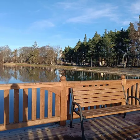 Sosnowa Dolina We Wielu