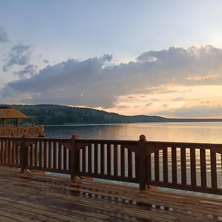 Sosnowa Dolina We Wielu