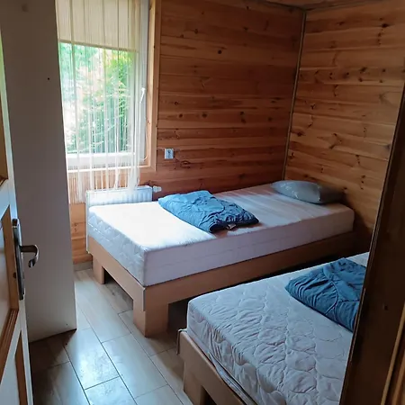 Sosnowa Dolina We Wielu * Wiele