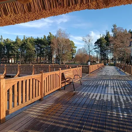 Sosnowa Dolina We Wielu