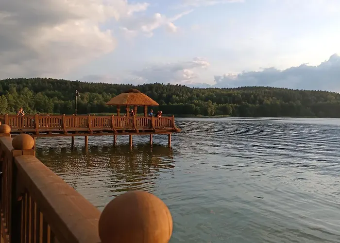 Sosnowa Dolina We Wielu *