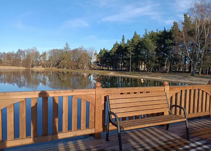 Sosnowa Dolina We Wielu