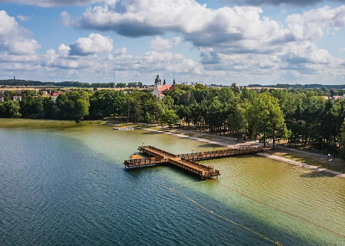 Sosnowa Dolina We Wielu