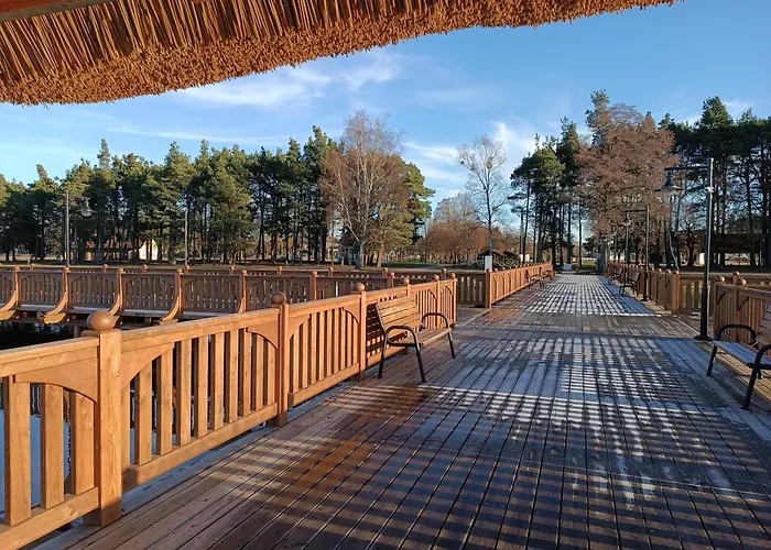 Sosnowa Dolina We Wielu